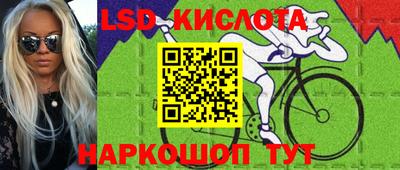молекула духа Заводоуковск