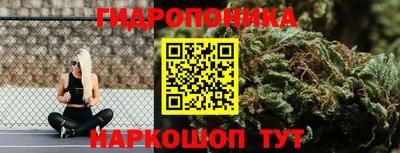 молекула духа Заводоуковск